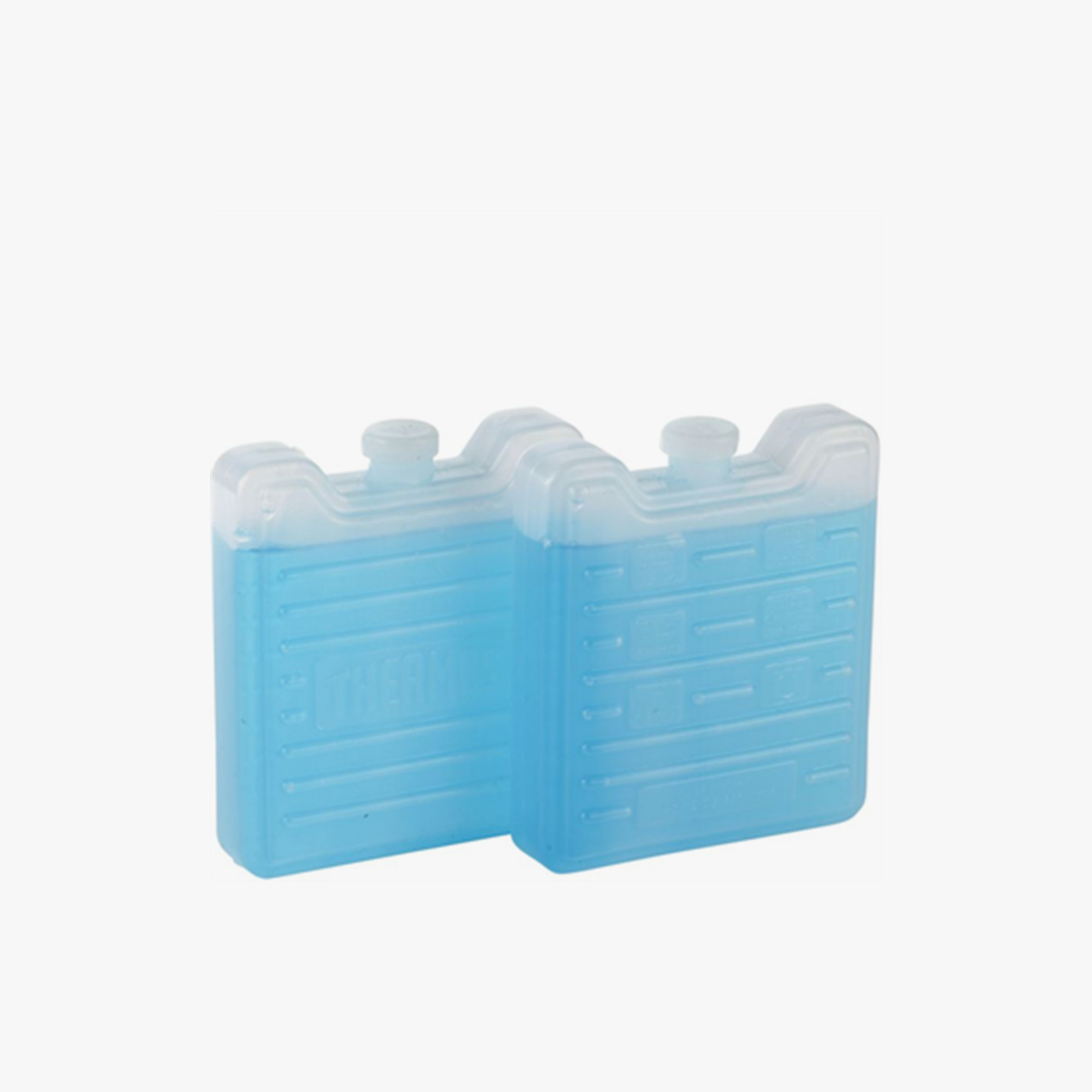 Thermos Mini Ice Pack 2x100g