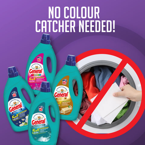 General Laundry Wash Freshness & Hygiene 5In1 2.4L / 60W