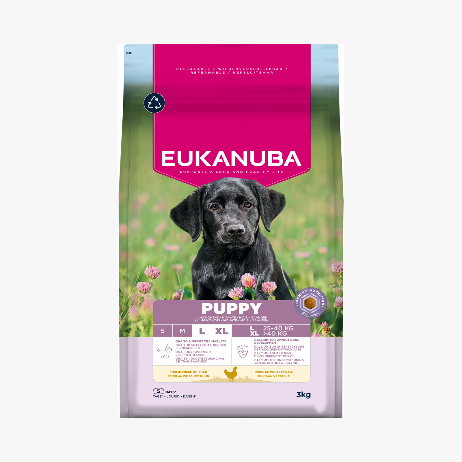 Eukanuba Dog Puppy Large Breed Chicken