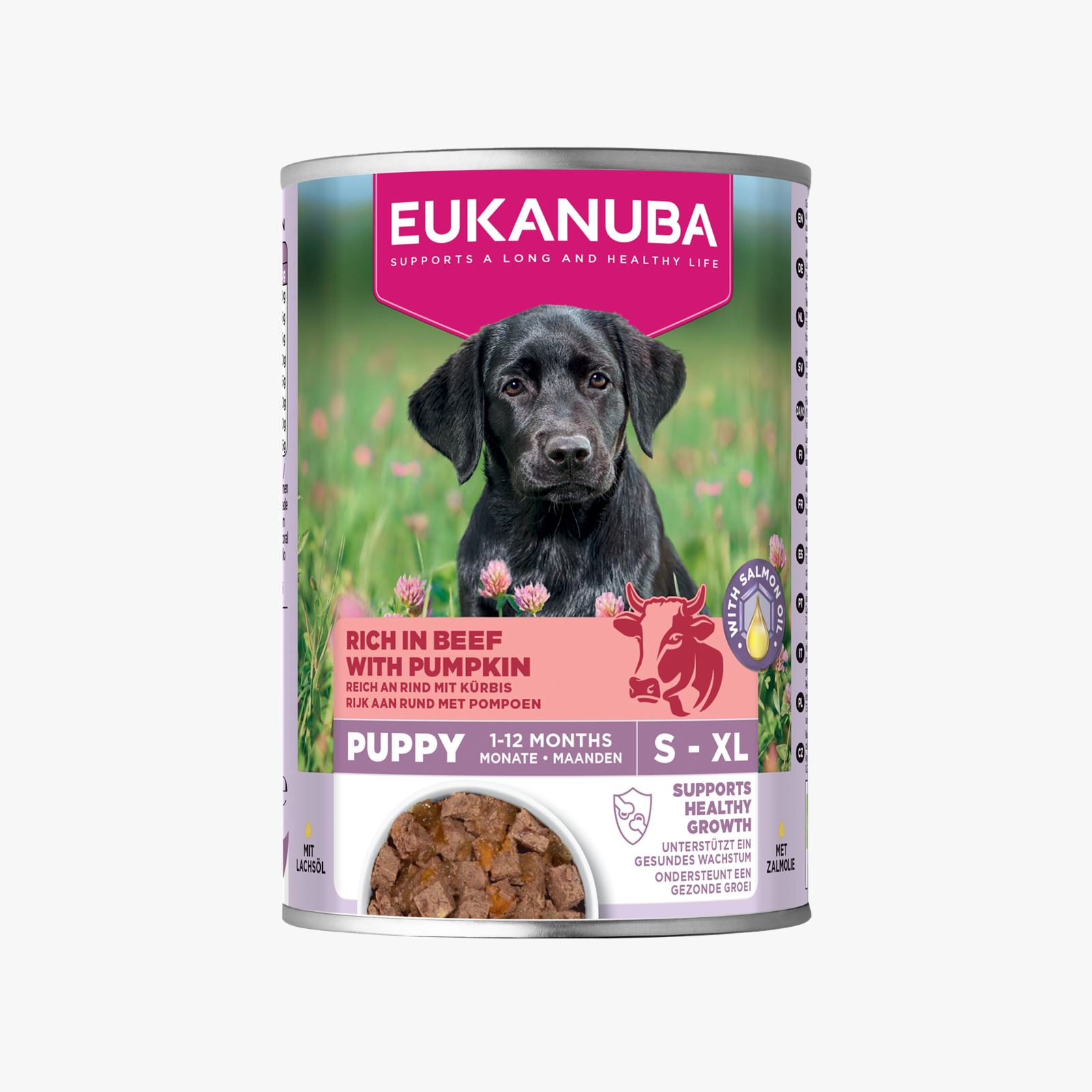 Eukanuba Dog Puppy Beef & Pumpkin 400g Tin X6