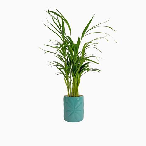 Navigate Porcelain Embossed Pot Teal Large