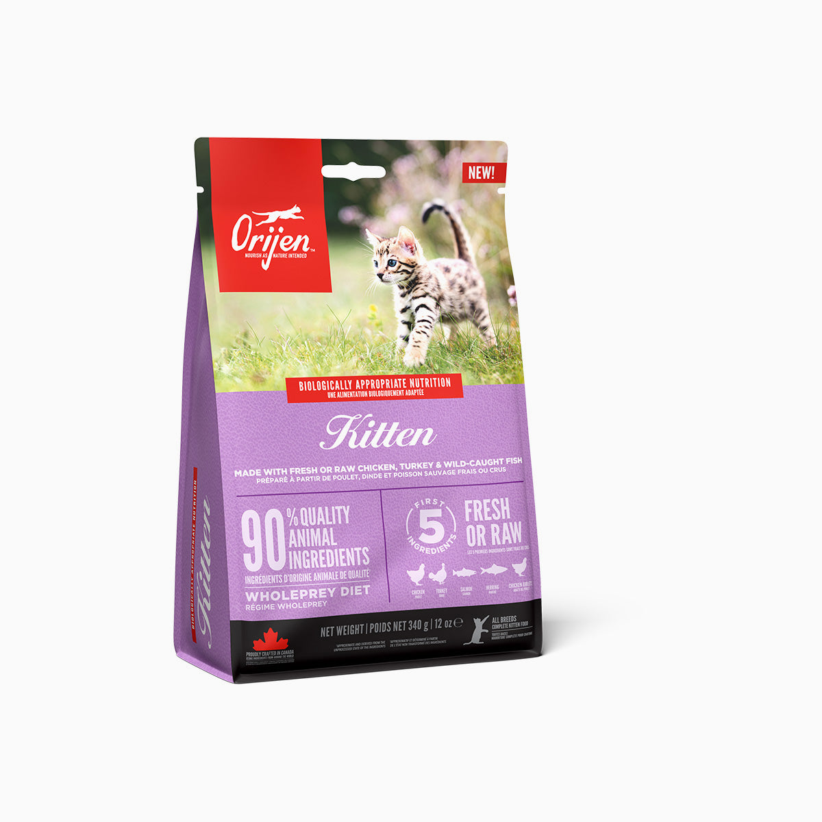 Orijen Kitten